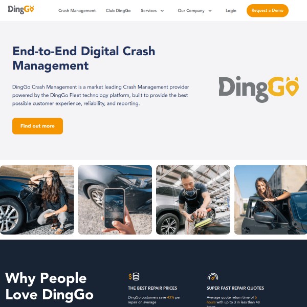 DingGo homepage screenshot